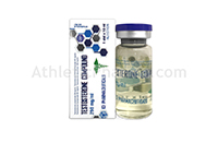 Testosterone Compound (Ice) 10ml